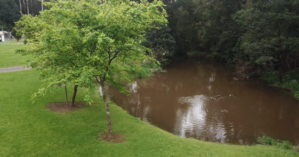 Glen Cromie Reserve Visit Gippsland
