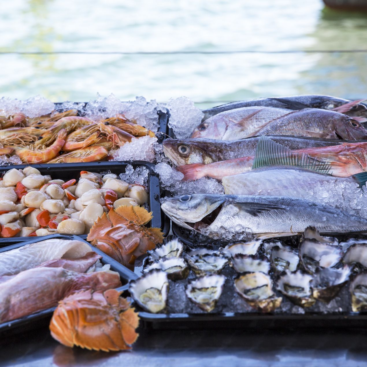 Lakes Entrance Travel Guide Where to Eat, Stay and… Visit Gippsland