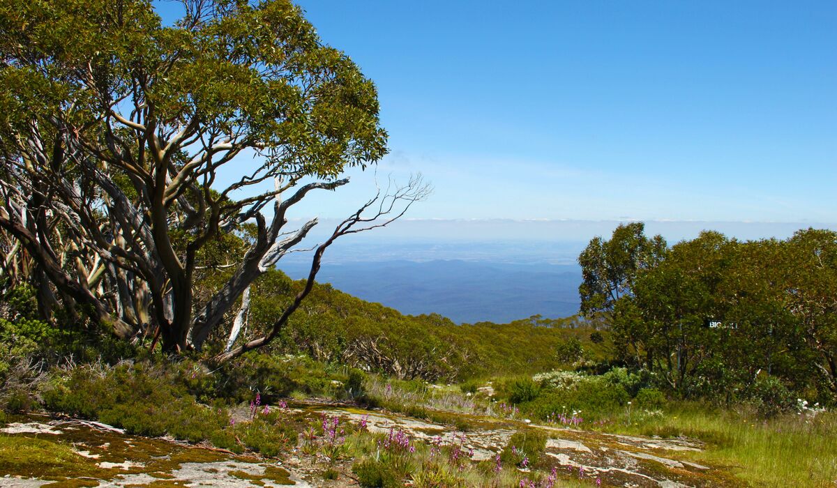 Mt Baw Baw Adventures All Year Visit Gippsland
