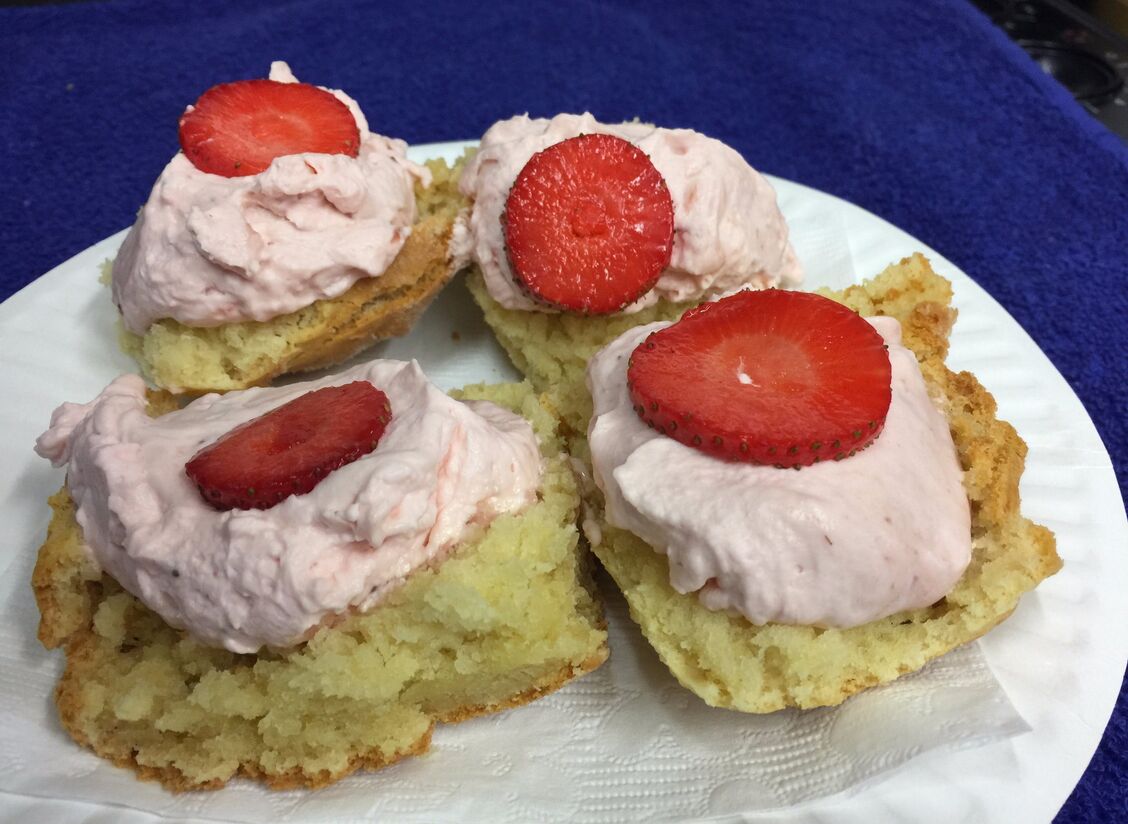 Lonsdale Cruises Visit Gippsland