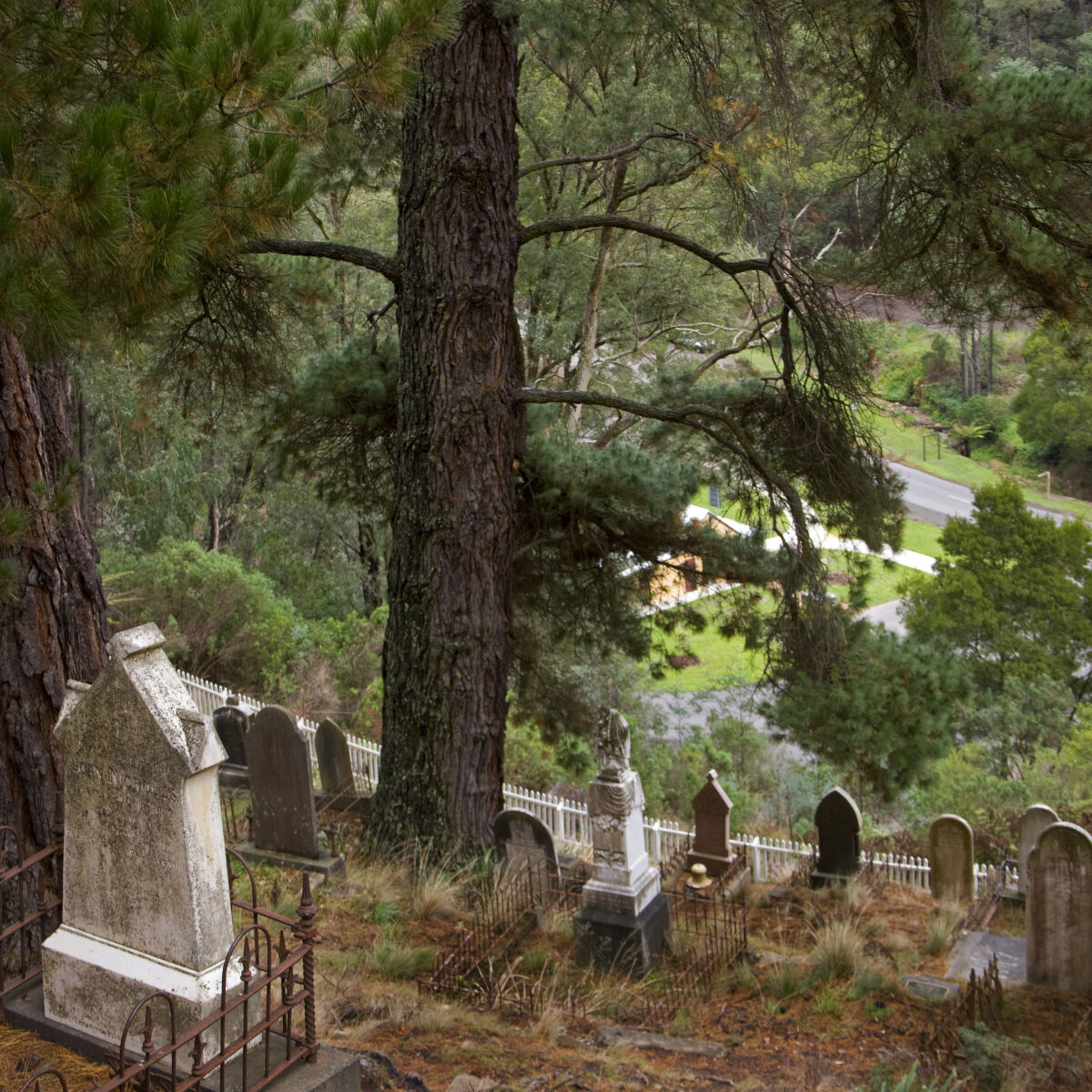 The History of Walhalla Visit Gippsland