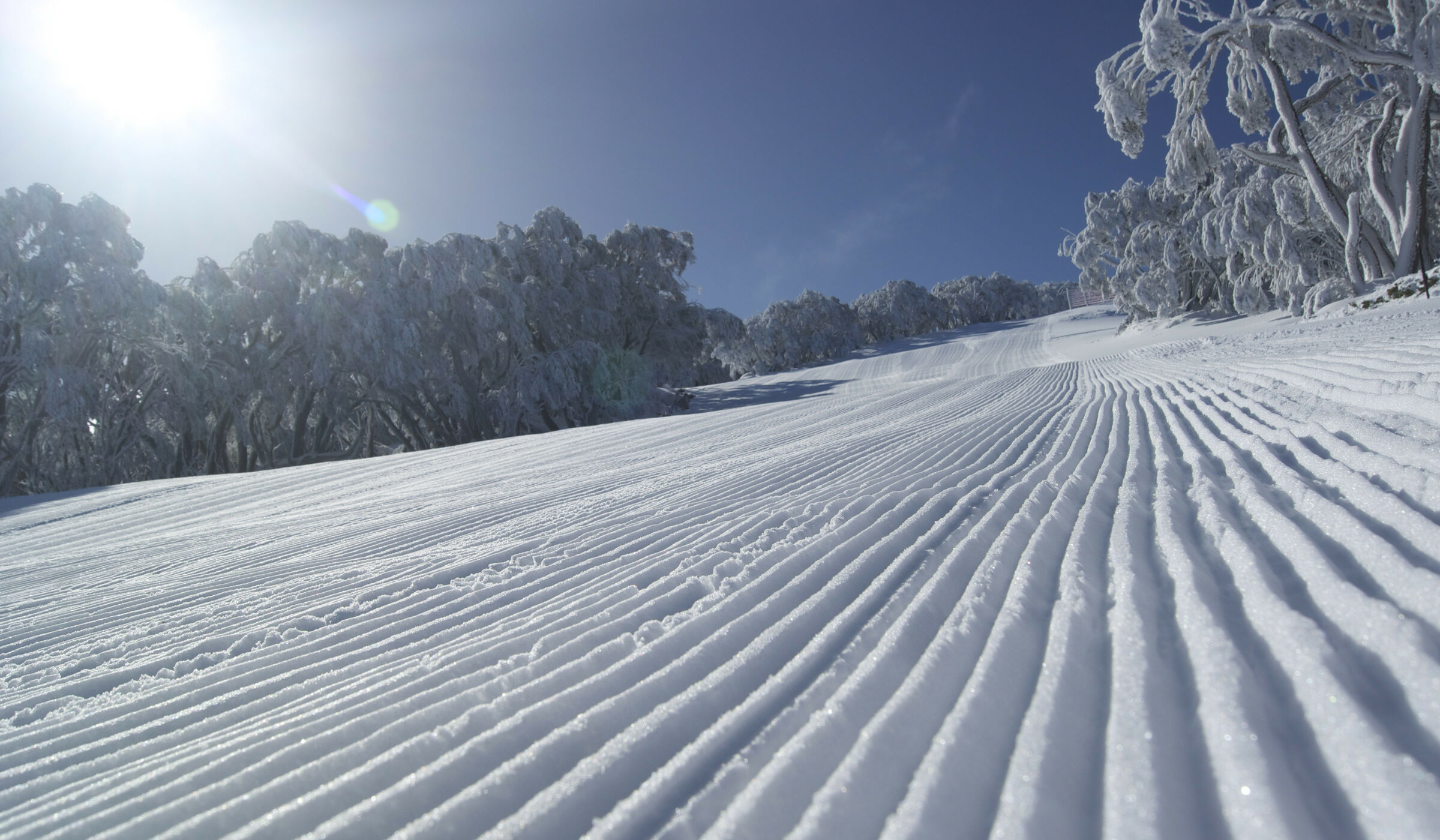 Mt Baw Baw Adventures All Year Visit Gippsland