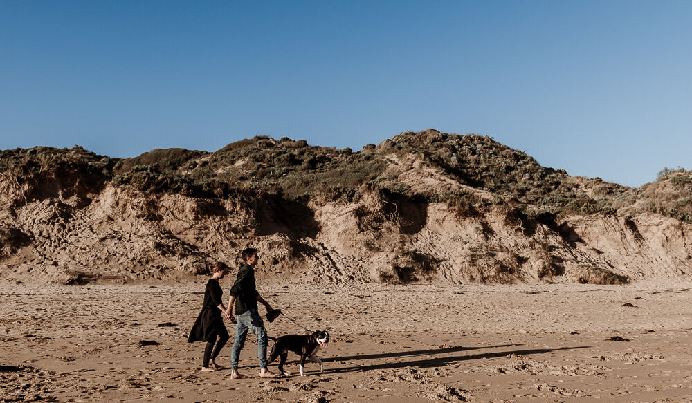 Dog Friendly Gippsland Visit Gippsland