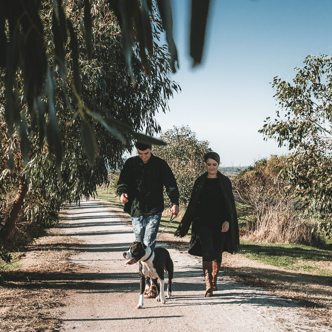 Dog Friendly Gippsland Visit Gippsland