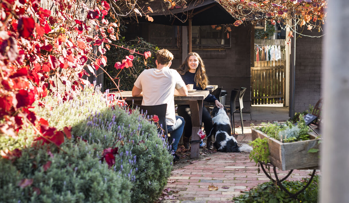 Dog Friendly Gippsland Visit Gippsland