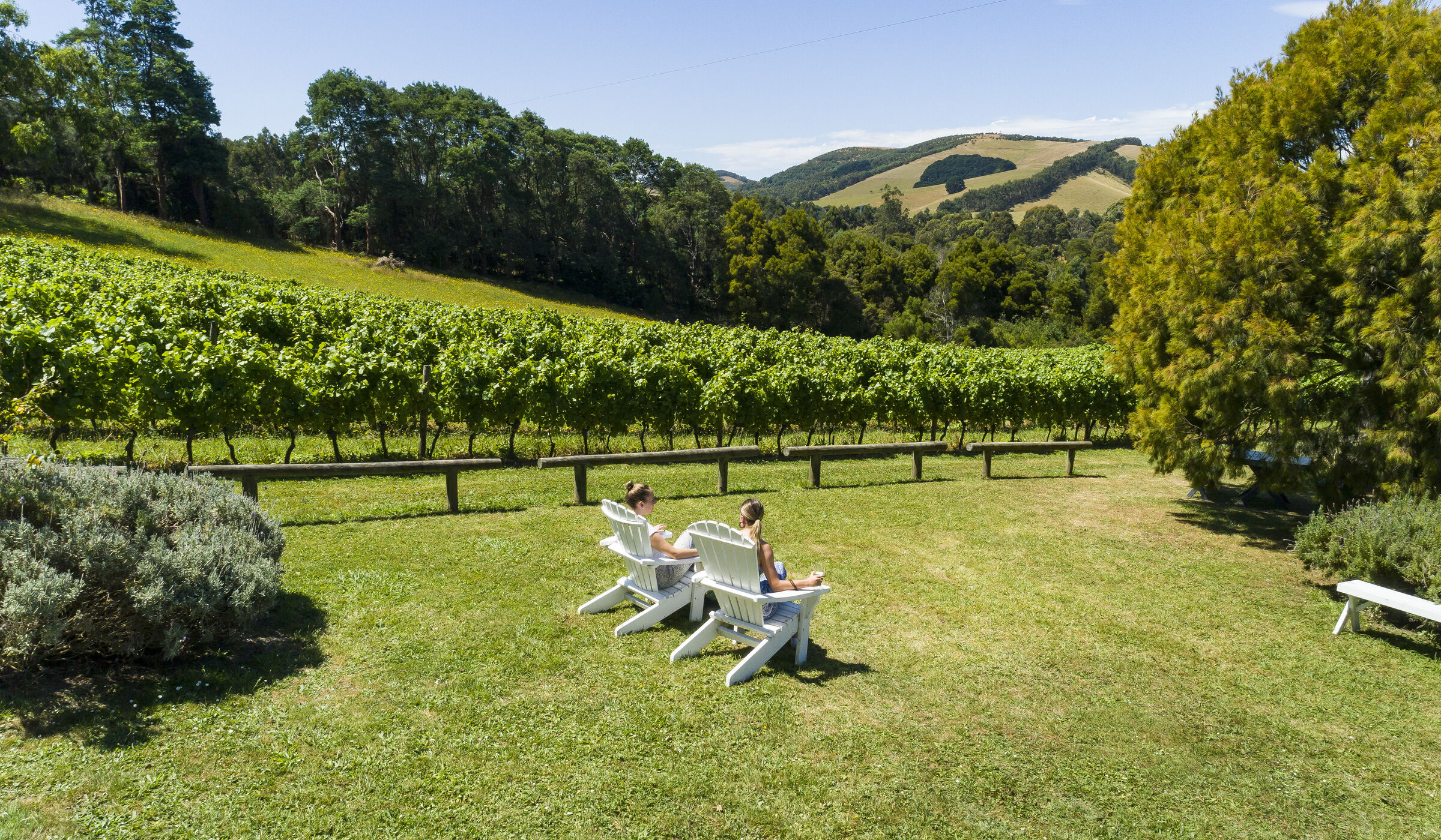 Wineries Visit Gippsland