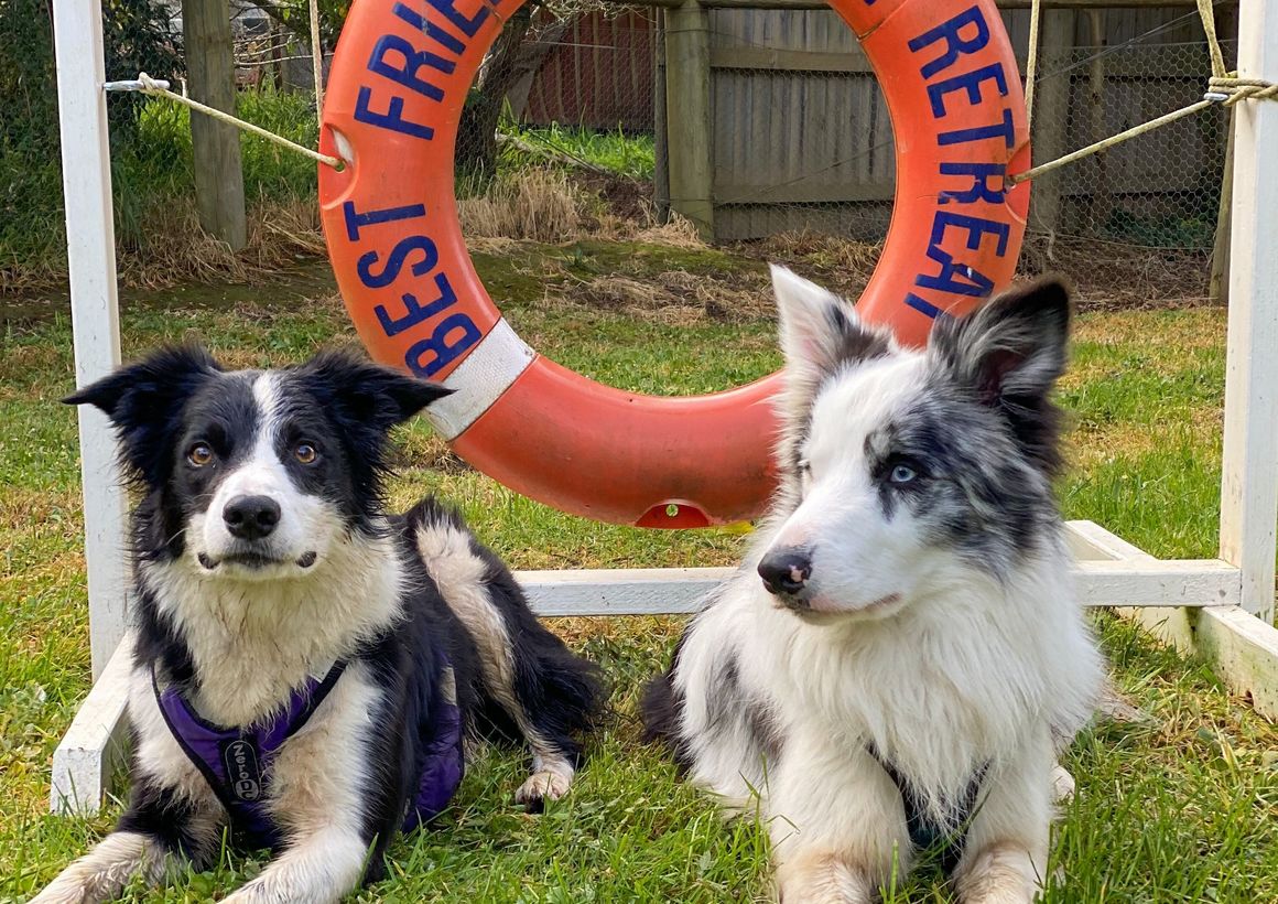 DOG FRIENDLY Visit Gippsland