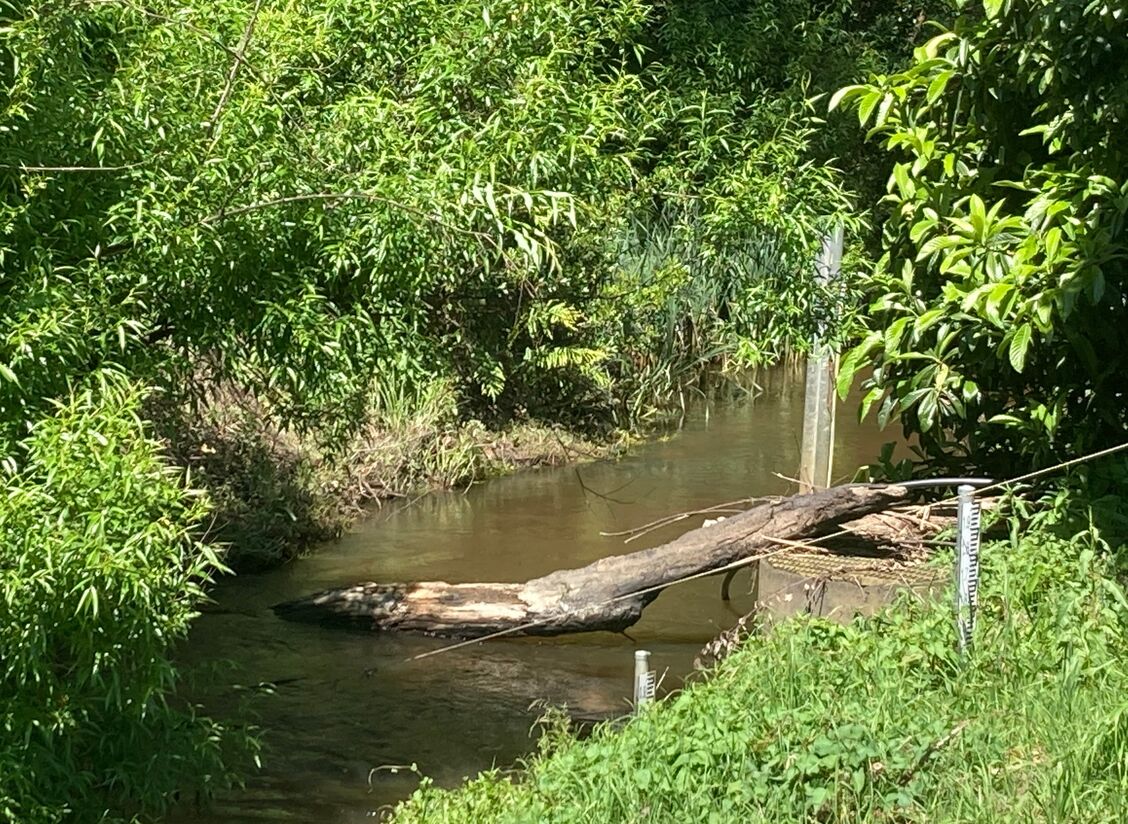 Glen Cromie Reserve Visit Gippsland