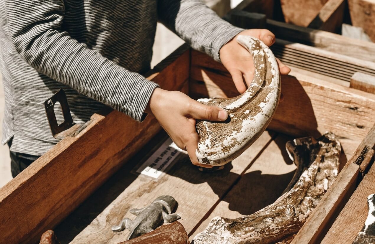 The Best of Inverloch in Winter | Visit Gippsland