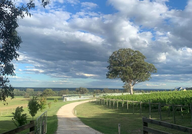 Wineries Visit Gippsland