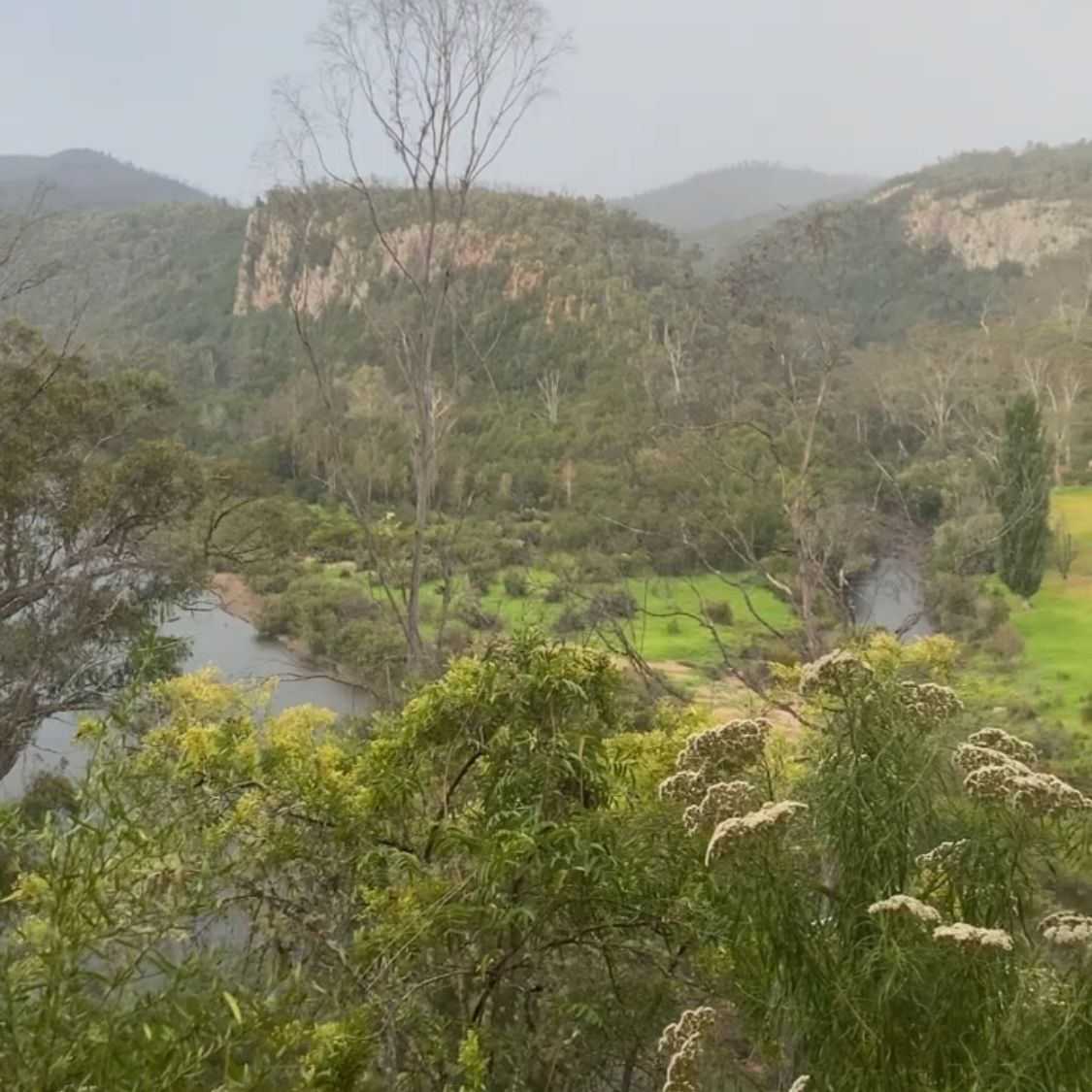 Basin Creek Falls Walk Visit Gippsland