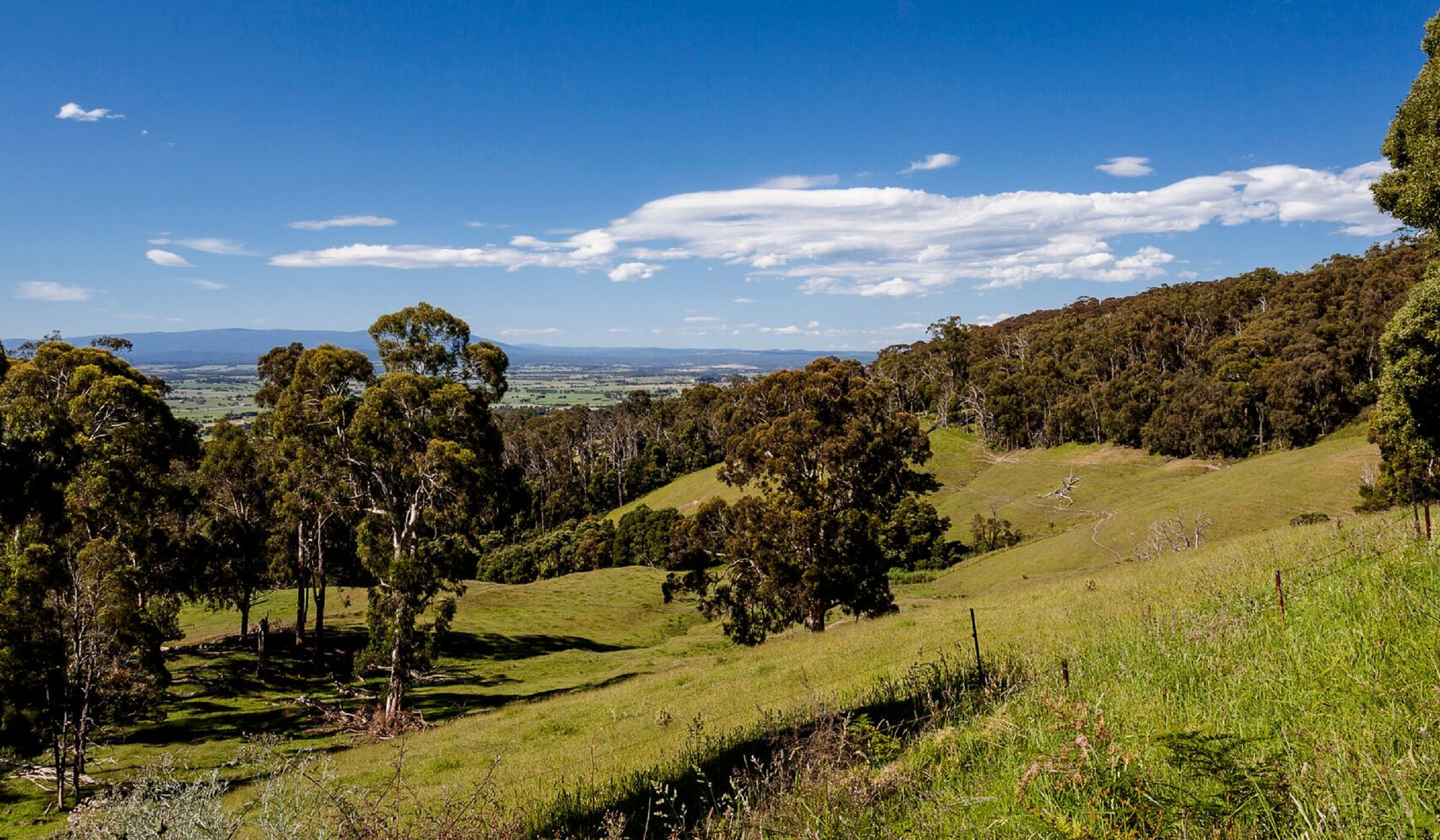 Trafalgar Travel Guide Where to Eat, Stay and Play Visit Gippsland