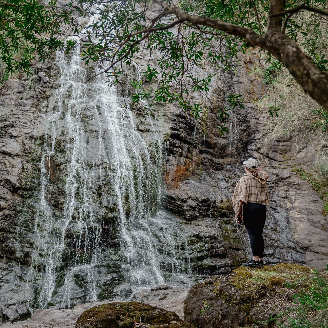 Basin Creek Falls Walk Visit Gippsland