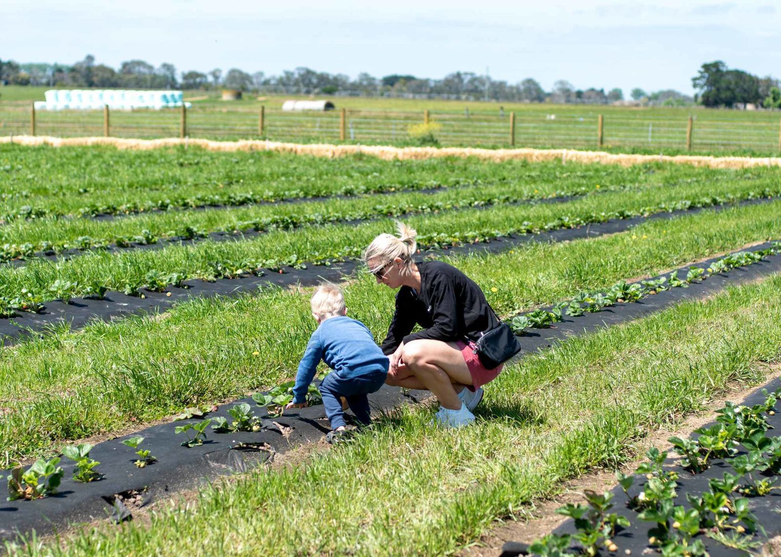 Visit Gippsland News