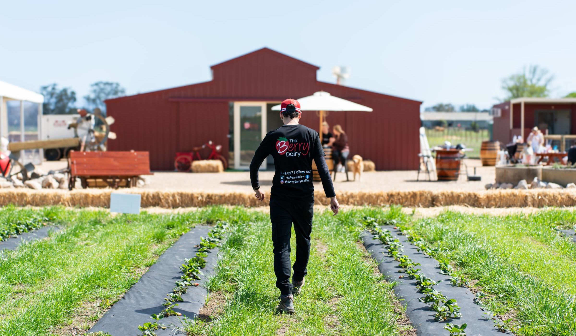 What's New in Gippsland Summer 2024 Visit Gippsland