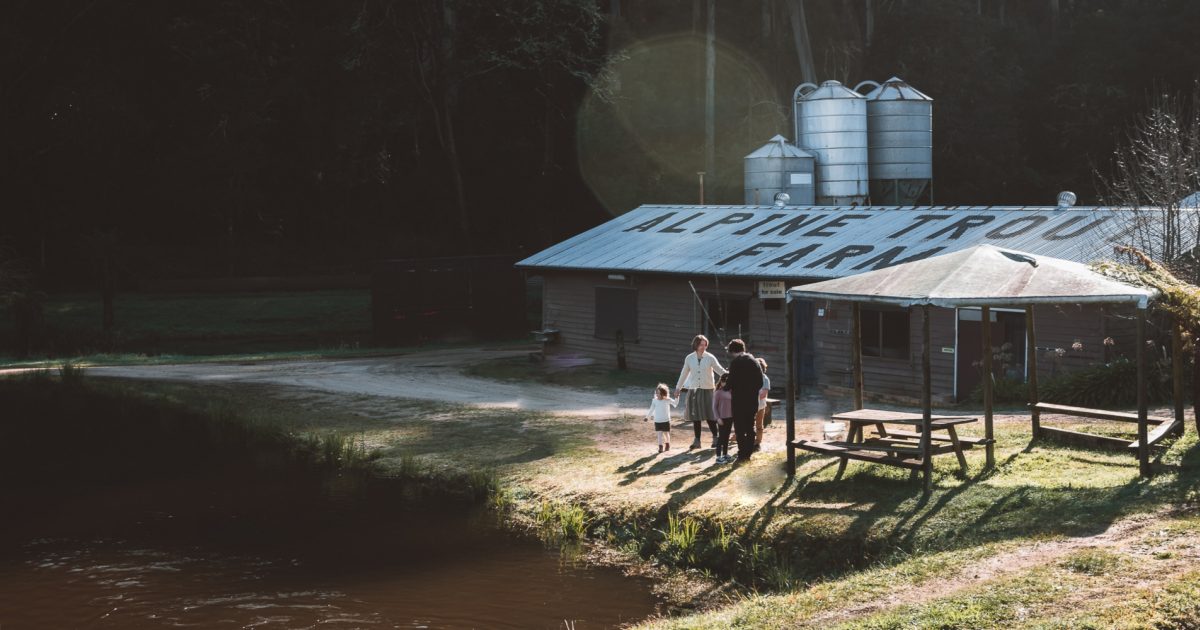 Noojee Travel Guide Where to Eat, Stay and Play Visit Gippsland