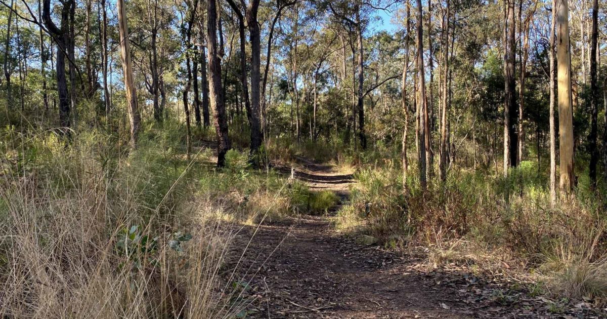 Bruthen Walking Trails Visit Gippsland