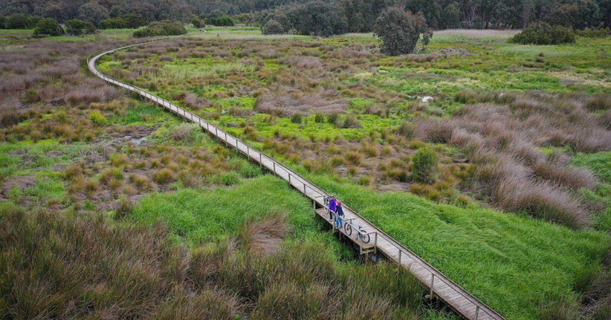 wetlands park bike trail