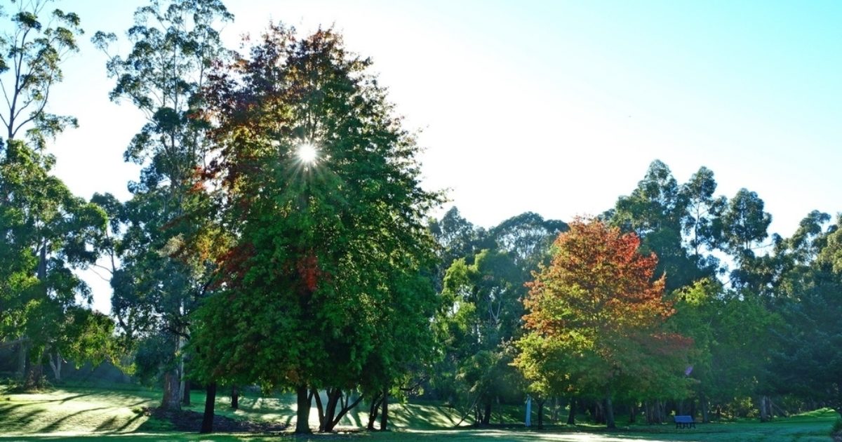 Drouin Golf and Country Club Visit Gippsland